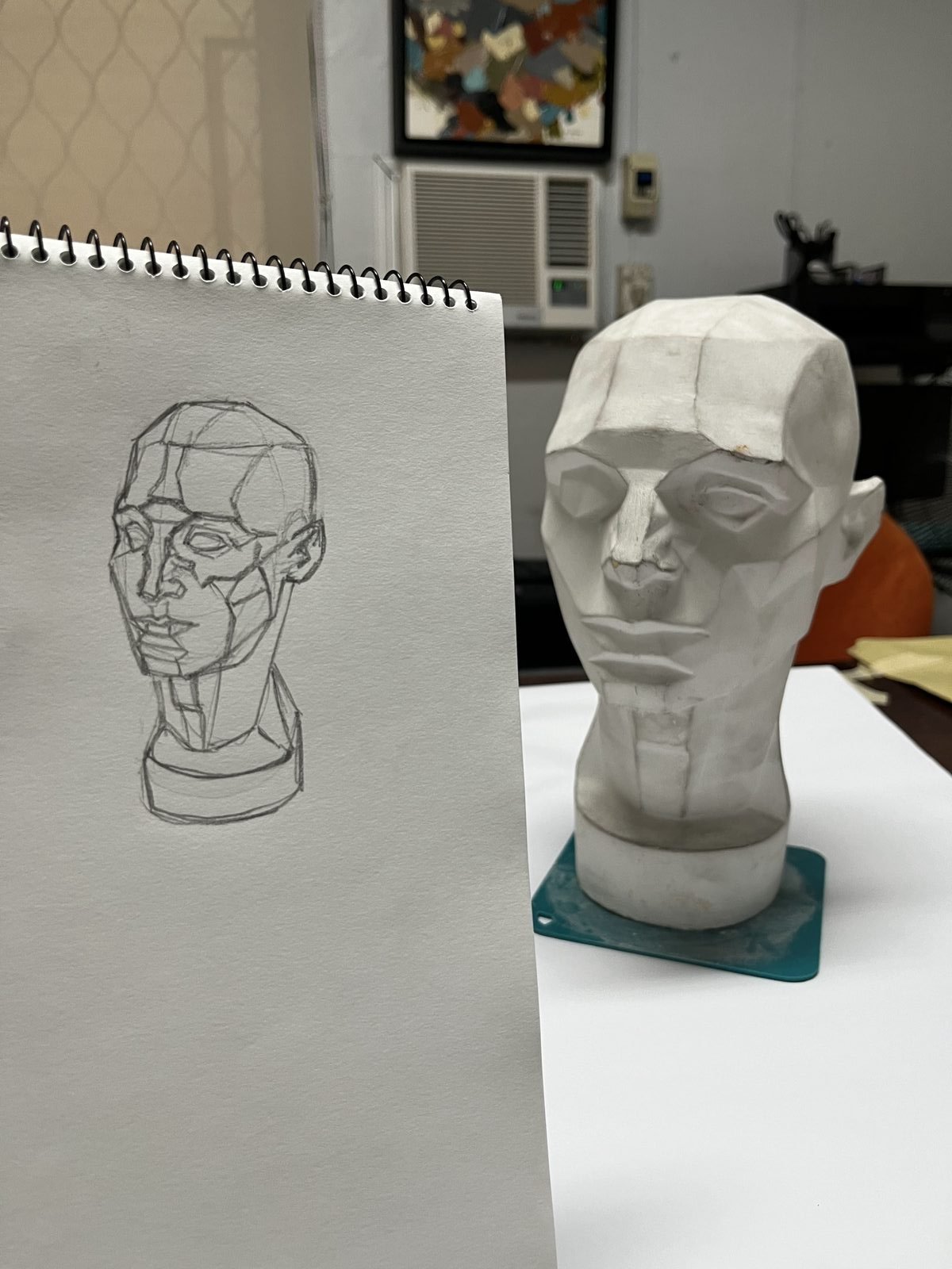 Planes of the head study next to the plaster reference